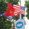 Quốc kỳ Việt Nam, Mỹ và Triều Tiên trên khắp các tuyến phố Hà Nội. (Ảnh: Trọng Đạt/TTXVN)