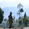 Binh sỹ Pakistan canh gác gần khu vực máy bay chiến đấu của Ấn Độ được cho là bị Pakistan bắn hạ ở Balakot, Pakistan, ngày 27/2. (Ảnh: THX/TTXVN)