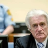 Cựu lãnh đạo người Serbia ở Bosnia-Herzegovina, Radovan Karadzic. (Nguồn: AFP)