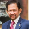 Chân dung Quốc vương Brunei Darussalam Hassanal Bolkiah. (Ảnh: TTXVN)