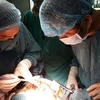 Các y bác sỹ Bệnh viện Đa khoa tỉnh Quảng Trị thực hiện ca phẫu thuật. (Ảnh: BV cung cấp)