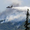 Một vụ cháy rừng ở Italy. (Nguồn: ANSA)