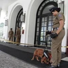 Cảnh sát phong tỏa một khách sạn ở Colombo, Sri Lanka, sau khi tại đây xảy ra vụ nổ ngày 21/4/2019. (Ảnh: THX/TTXVN)