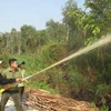 Diễn tập chữa cháy Vườn quốc gia U Minh Hạ. (Ảnh: Tràng Dương/TTXVN)