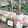 Chăm sóc trẻ sơ sinh tại Bệnh viện Phụ sản Trung ương, Hà Nội. (Ảnh: Dương Ngọc/TTXVN)