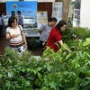 Đại biểu tham quan gian trưng bày sản phẩm giống cây lâm nghiệp sản xuất bằng công nghệ nuôi cấy mô của Viện Khoa học Lâm nghiệp Việt Nam. (Ảnh: Vũ Sinh/TTXVN)