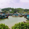 Các tàu, thuyền neo đậu an toàn tại cảng Cái Rồng, huyện Vân Đồn, tỉnh Quảng Ninh. (Ảnh: Đức Hiếu/TTXVN)