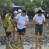 Các đại biểu tham gia trồng rừng ngập mặn tại huyện Trần Văn Thời, tỉnh Cà Mau vào ngày 20/7. (Ảnh: Thế Anh/TTXVN)