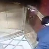 Ông Nguyễn Hữu Linh có hành vi ôm hôn, sàm sỡ bé gái trong thang máy vừa bị khởi tố. (Hình ảnh cắt từ clip camera an ninh