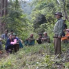 Người dân tham gia công tác tuần tra, bảo vệ rừng được giao khoán. (Ảnh: Hồng Điệp/TTXVN)