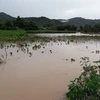 Mưa lớn kéo dài gây ngập nặng tại các huyện phía Nam của tỉnh Lâm Đồng. (Ảnh: Nguyễn Dũng/TTXVN)