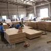 Sản xuất ván gỗ xuất khẩu từ nguyên liệu rừng trồng cây gỗ lớn tại nhà máy của Công ty Cổ phần Trường Phát (Tập đoàn Công nghiệp Cao su Việt Nam) trong khu công nghiệp Phước Hòa, huyện Phú Giáo, tỉnh Bình Dương. (Ảnh minh họa: Vũ Sinh/TTXVN)