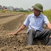 Ông Nguyễn Văn Chế vui mừng thấy sáng chế của mình đang góp phần đẩy mạnh cơ giới hoá trong sản xuất nông nghiệp trên đồng đất quê hương Nam Trung, Nam Sách. (Ảnh: Mạnh Minh/TTXVN)