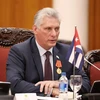 Ông Miguel Díaz Canel được bầu giữ chức Chủ tịch nước Cộng hòa Cuba. (Nguồn: EFE)