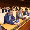 Các đại biểu Quốc hội biểu quyết thông qua Bộ luật Lao động (sửa đổi). (Ảnh: Lâm Khánh/TTXVN)