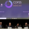 Chủ tịch COP 25 Carolina Schmidt và đại điện các quốc gia tham dự cuộc họp trong khuôn khổ Hội nghị lần thứ 25 các bên tham gia Công ước khung của Liên hợp quốc về biến đổi khí hậu (COP 25) tại Madrid, Tây Ban Nha. (Ảnh: THX/TTXVN)
