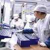 Công nhân làm việc tại nhà máy ở Ninh Đức, tỉnh Phúc Kiến, Đông Nam Trung Quốc. (Nguồn: THX/TTXVN)