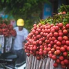 Ảnh minh họa. (Nguồn: Vietnam+)