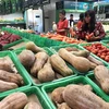 Khách hàng mua sắm tại siêu thị Mega Market Hoàng Mai, Hà Nội. (Ảnh: Trần Việt/TTXVN)
