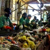 Phân loại và xử lý rác thải tại Nhà máy xử lý rác thải thành phố Cà Mau. (Ảnh: Huỳnh Thế Anh/TTXVN)