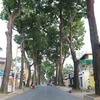 Đường Trần Quốc Thảo, quận 3, Thành phố Hồ Chí Minh vắng bóng người và phương tiện giao thông. (Ảnh: TTXVN)