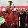 Việt Nam vô địch AFF Suzuki Cup 2018. (Nguồn: TTXVN)