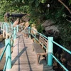 Lấn chiếm rừng mé biển khu vực Vườn Quốc gia Phú Quốc tại địa bàn ấp Gành Dầu, xã Gành Dầu (Phú Quốc) kinh doanh dịch vụ du lịch. (Ảnh: Lê Huy Hải/TTXVN)