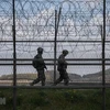 Binh sỹ Hàn Quốc tuần ra dọc hàng rào biên giới giữa hai miền Triều Tiên, tại Ganghwa, Hàn Quốc. (Ảnh: AFP/TTXVN)