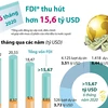 Thu hút FDI đạt hơn 15,6 tỷ USD trong 6 tháng đầu năm.