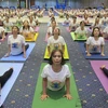 Hơn 600 người đồng diễn bài tập Yoga tại sự kiện. (Ảnh: Xuân Triệu/TTXVN)