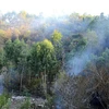 Hiện trường vụ cháy tại núi Hầm Vàng. (Ảnh: Quốc Dũng/TTXVN)