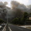 Thảm họa cháy rừng tại Hy Lạp năm 2018. (Nguồn: EPA)