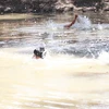 Lâm Đồng: Hai trẻ em bị đuối nước tại hồ tưới trong vườn nhà