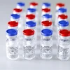 Vắcxin ngừa COVID-19 do Viện nghiên cứu Dịch tễ học và Vi sinh học Quốc gia Gamaley của Nga phát triển. (Ảnh: AFP/TTXVN)