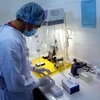 Bộ sinh phẩm phát hiện SARS-CoV-2 bằng kỹ thuật Realtime PCR của tỉnh Thái Nguyên được triển khai kiểm nghiệm tại Khoa Miễn dịch di truyền phân tử, Bệnh viện Trung ương Thái Nguyên. (Ảnh: Thu Hằng/TTXVN)