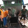 Kiểm tra tàu cá giã cào của tỉnh Quảng Ngãi đánh bắt hải sản sai tuyến trên vùng biển Quảng Bình. (Ảnh: TTXVN)