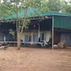 Lâm Đồng: Xử lý nghiêm vụ phá rừng làm nhà trái phép ở huyện Bảo Lâm