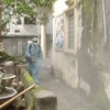 Phun thuốc diệt muỗi phòng chống dịch bệnh sốt xuất huyết tại hộ dân ở thành phố Bắc Ninh, tỉnh Bắc Ninh. (Ảnh: Thái Hùng/TTXVN)