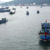 Tàu thuyền ngư dân các tỉnh, thành phố ven biển miền Trung di chuyển vào Âu thuyền Thọ Quang (Đà Nẵng) để phòng chống bão số 5. (Ảnh: Trần Lê Lâm/TTXVN)