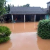 Mưa lớn gây ngập lụt trở lại tại thị trấn Cam Lộ, huyện Cam Lộ. (Ảnh: Hồ Cầu/TTXVN)