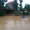 Nhiều nhà dân tại xã Hàm Ninh, huyện Quảng Ninh, tỉnh Quảng Bình vẫn còn ngập sâu trong nước lũ. (Ảnh: Văn Tý/TTXVN)