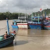 Ngư dân thành phố Tuy Hòa, Phú Yên neo đậu tàu thuyền tránh trú bão. (Ảnh: Phạm Cường/TTXVN)