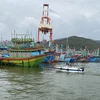 Tàu thuyền neo đậu tránh trú bão số 10 tại cảng cá Quy Nhơn (Bình Định). (Ảnh: Nguyên Linh/TTXVN)
