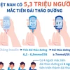 Việt Nam có 5,3 triệu người mắc tiền đái tháo đường