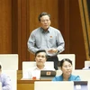Đại biểu Quốc hội tỉnh Bình Định Đặng Hoàng Tân phát biểu ý kiến. (Ảnh: Doãn Tấn/TTXVN)
