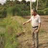 Nước thải từ trang trại lợn của Công ty TNHH Hoàng Vũ Lai Châu chảy tràn ra cả ruộng lúa của bà con. (Nguồn: Baodantoc.vn)