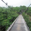 Cây cầu treo vắt mình qua khe núi cheo leo dẫn vào thôn Cầu Gãy. (Ảnh: Minh Hưng/TTXVN)