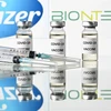 Vắcxin phòng COVID-19 của Pfizer-BioNtech. (Ảnh: AFP/TTXVN)