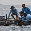 Thợ lặn thuộc các lực lượng hải quân tìm kiếm các mảnh vỡ chiếc máy bay gặp nạn tại vùng biển gần đảo Lancang, Indonesia, ngày 10/1. (Ảnh: AFP/TTXVN)
