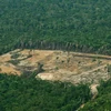 Một khoảng rừng Amazon bị chặt phá. (Ảnh minh họa. Nguồn: AFP/TTXVN)